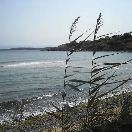 Black Sea Star Chernomorets